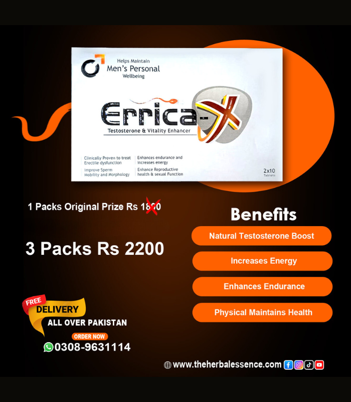 errica-x-bundle